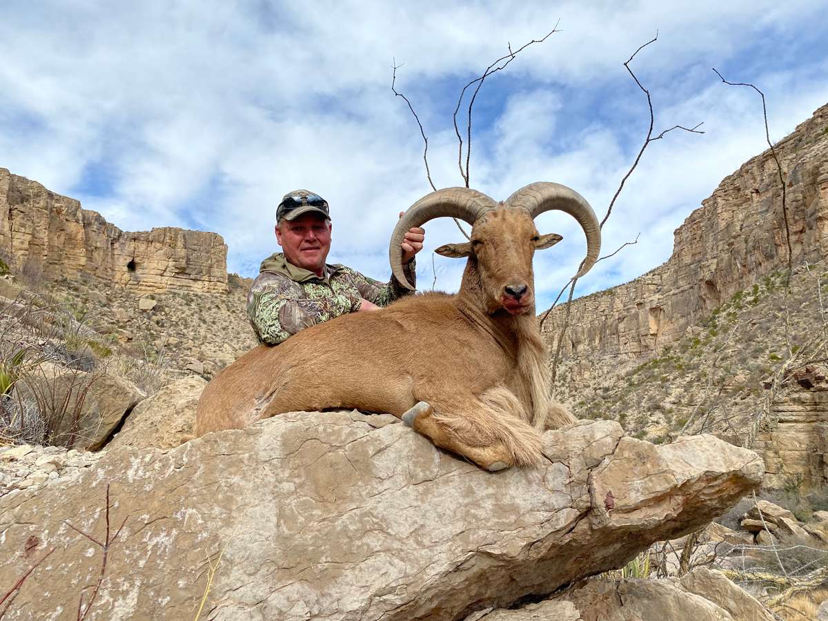 Barbary Sheep Hunting in New Mexico